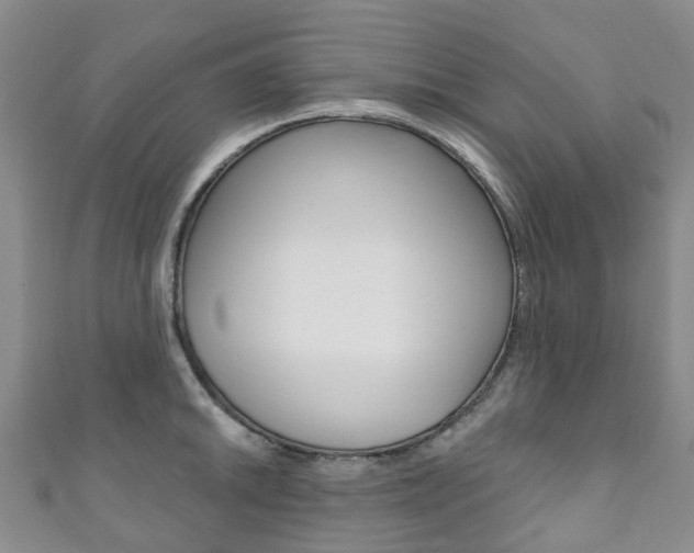 X0000111931046200907271026