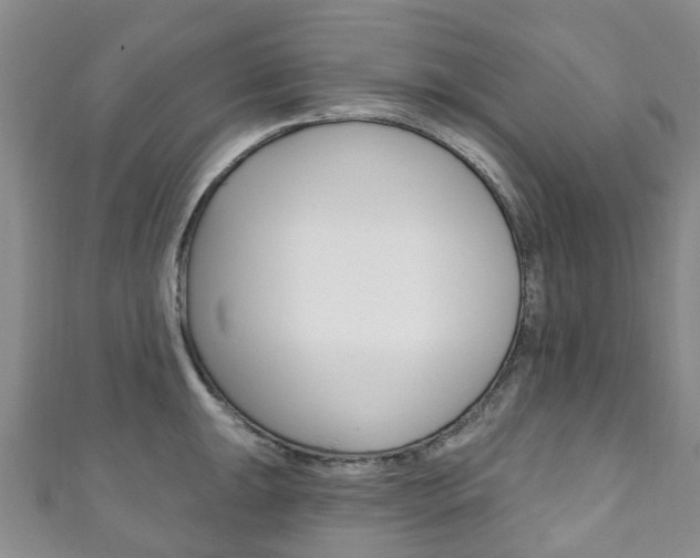 X0000111931047200907271026