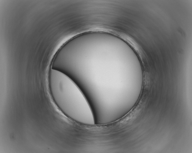 X0000111931048200907271026