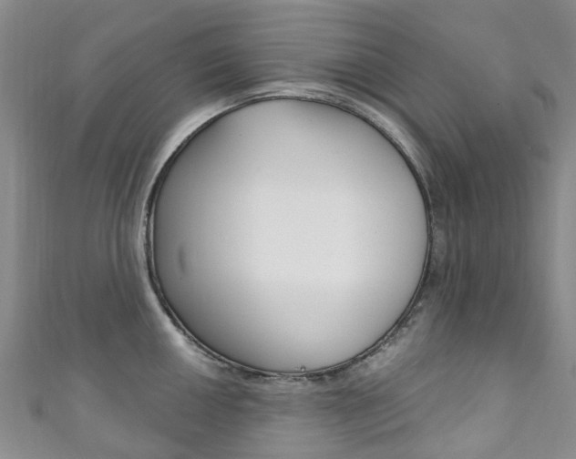 X0000111931050200907271026