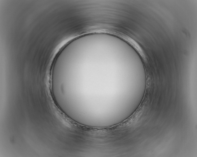 X0000111931051200907271026