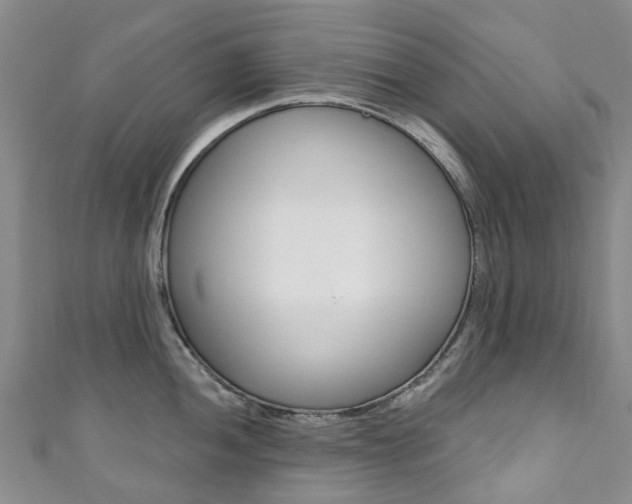 X0000111931052200907271026
