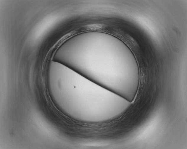 X0000111931054200907271026