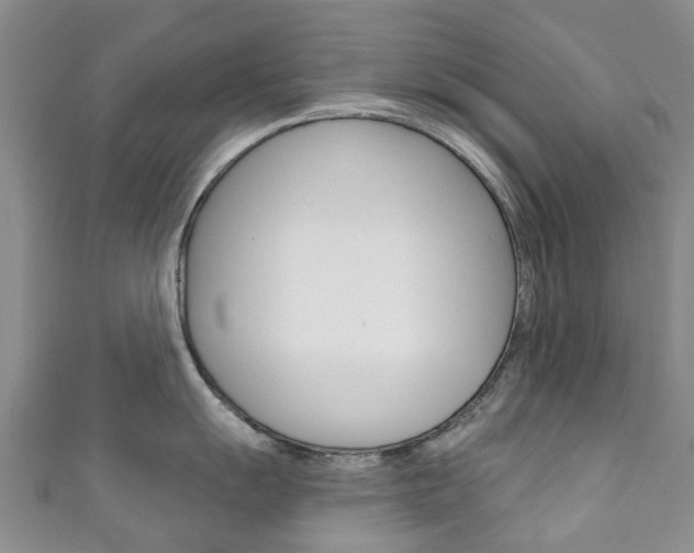X0000111931055200907271026