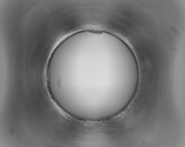 X0000111931056200907271026