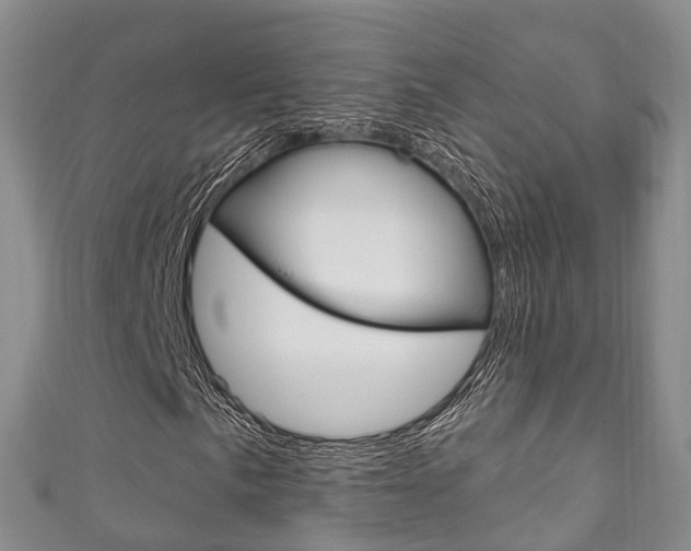 X0000111931057200907271026
