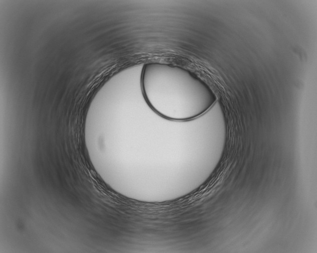 X0000111931060200907271026