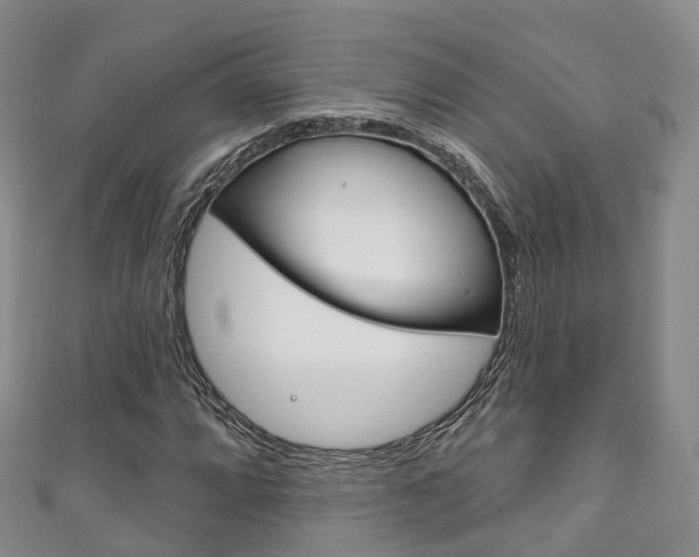 X0000111931064200907271026