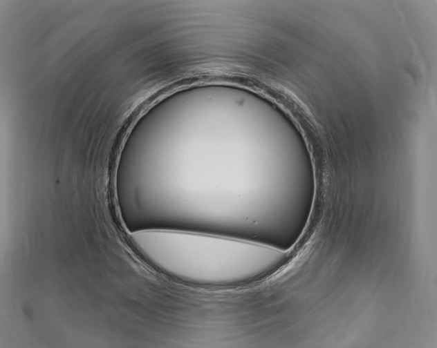 X0000111931065200907271025