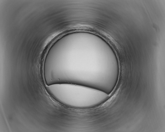 X0000111931066200907271025