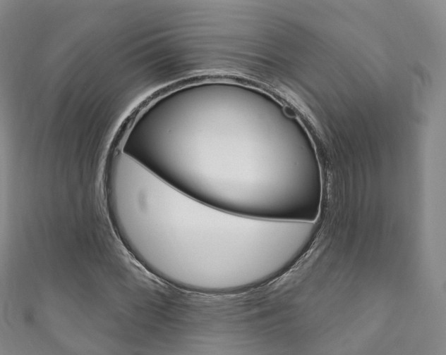 X0000111931068200907271025