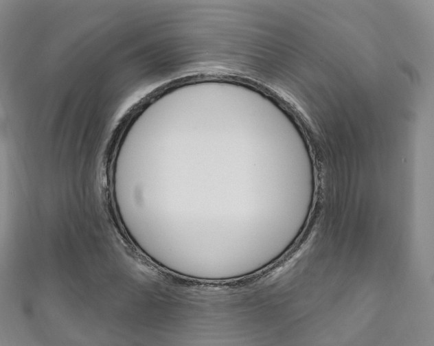 X0000111931070200907271025