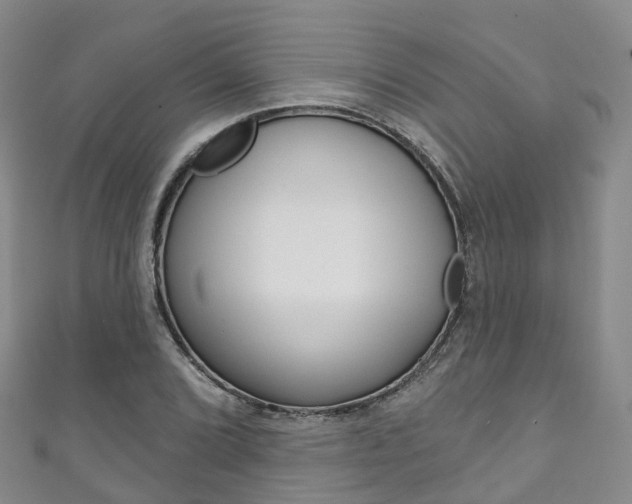 X0000111931072200907271025