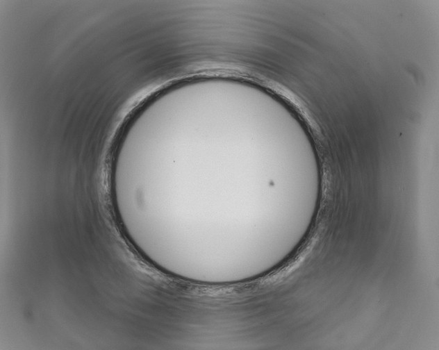 X0000111931074200907271025