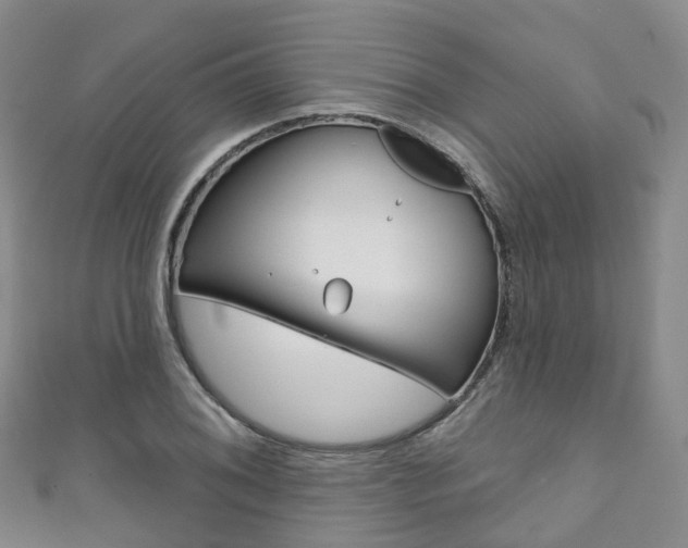 X0000111931076200907271025