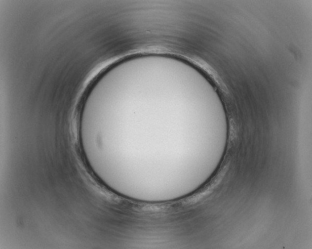X0000111931078200907271025