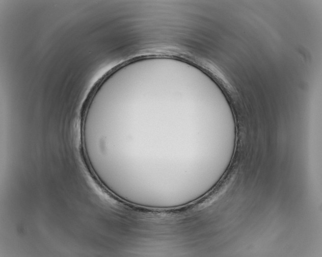 X0000111931079200907271025