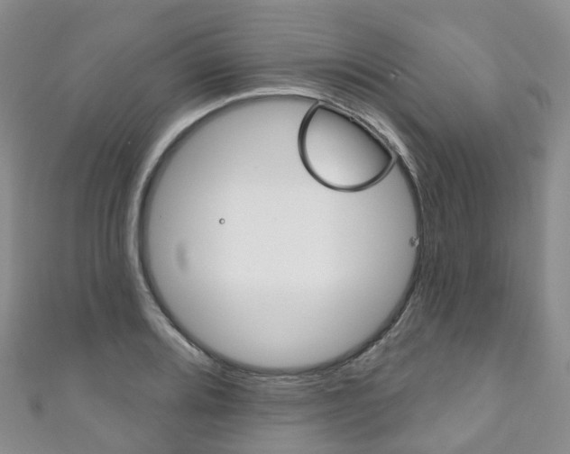 X0000111931080200907271025