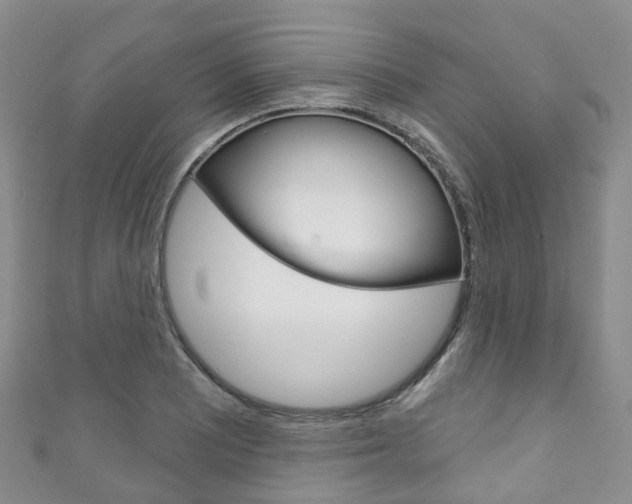 X0000111931081200907271025