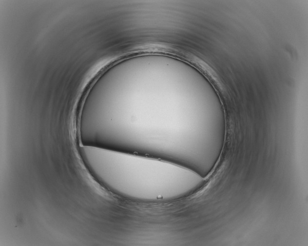 X0000111931082200907271025