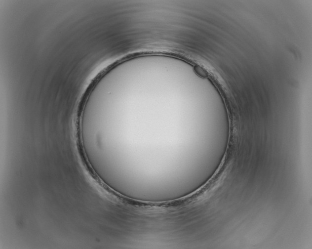 X0000111931085200907271025