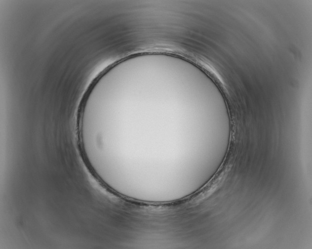 X0000111931087200907271025