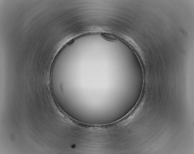 X0000111931089200907271025
