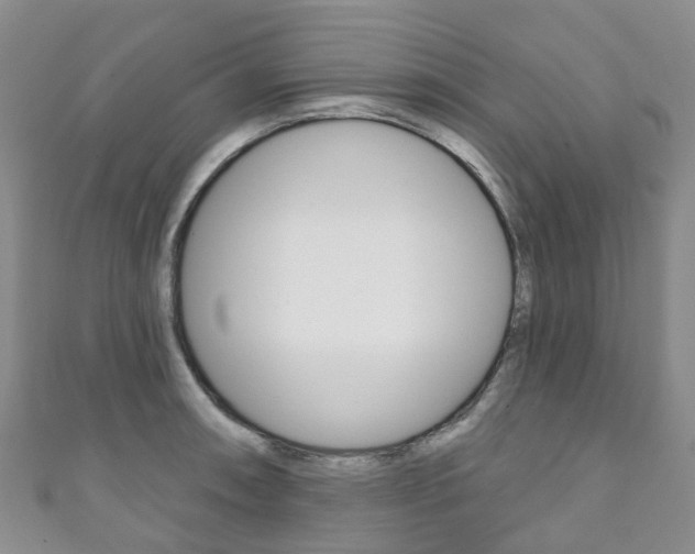 X0000111931090200907271025