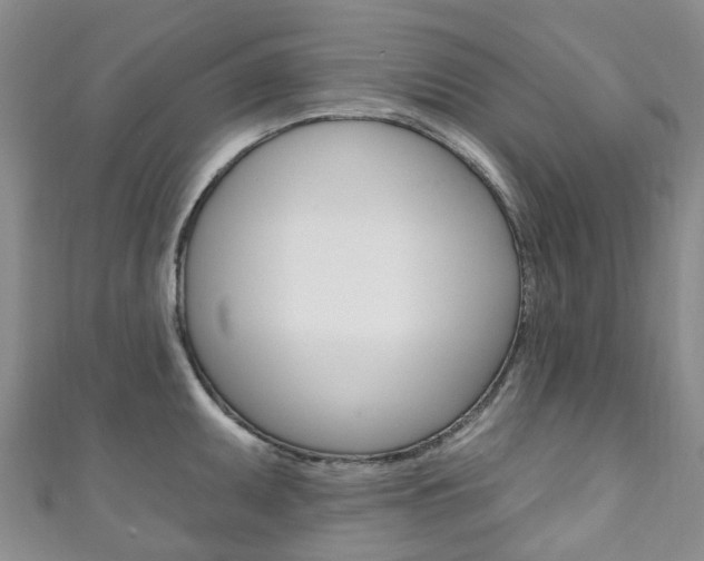 X0000111931095200907271025
