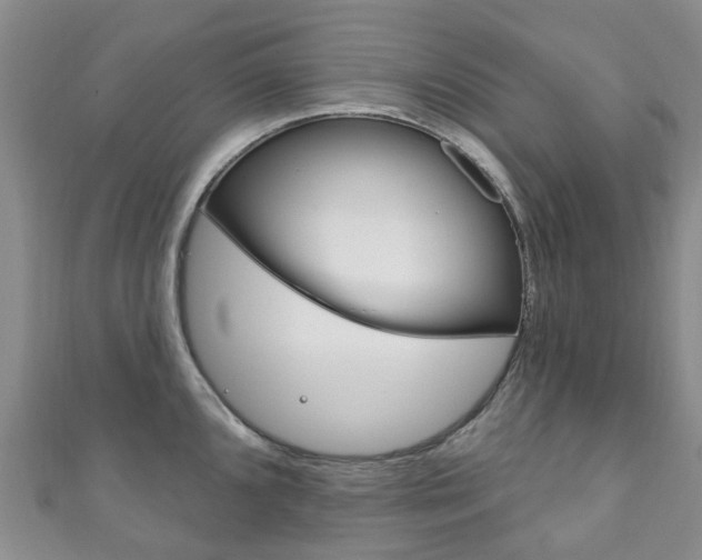 X0000111931096200907271025