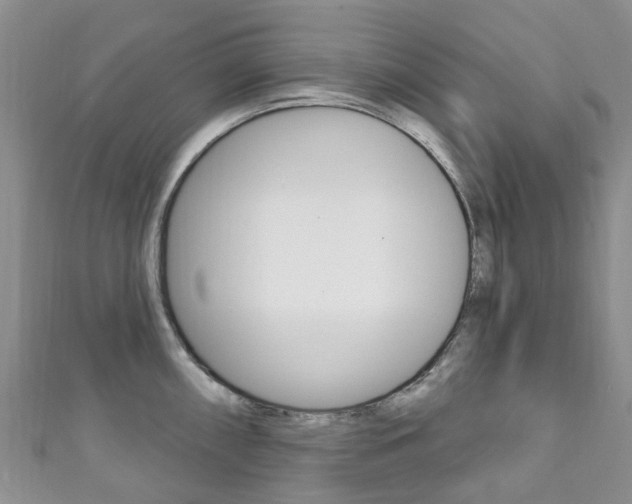 X0000111931098200907271025