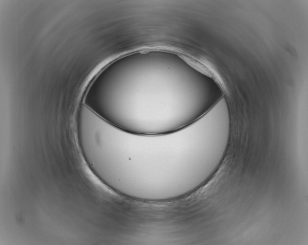 X0000111931100200907271025