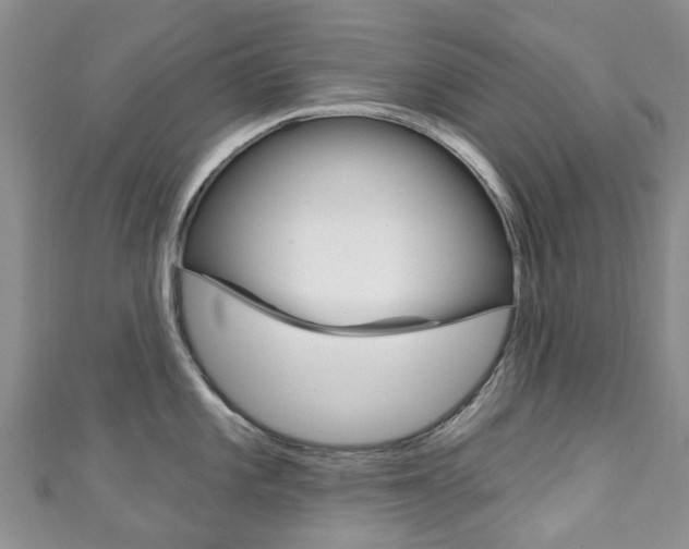 X0000111931101200907271025