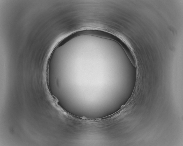 X0000111931104200907271025