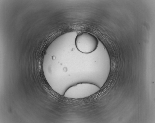 X0000111931106200907271024