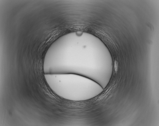 X0000111931107200907271024