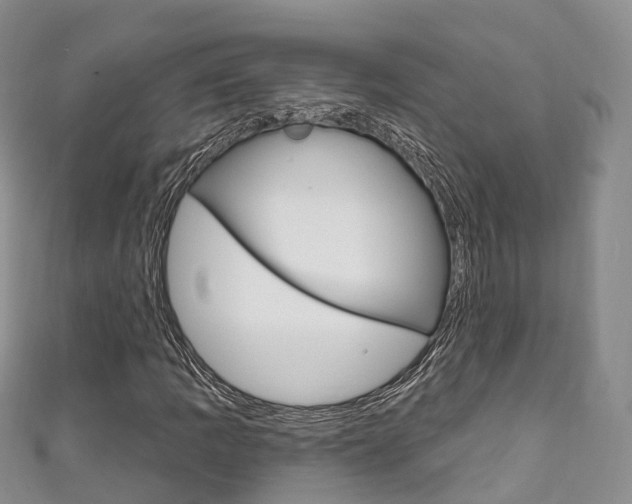 X0000111931109200907271024