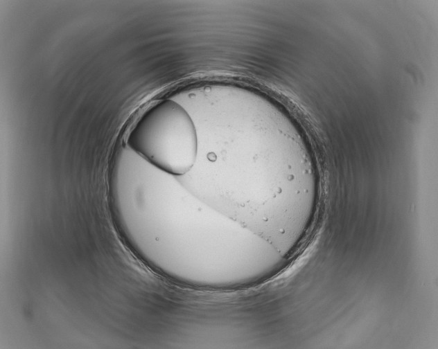 X0000111931113200907271024