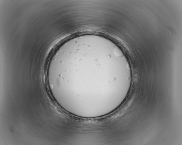 X0000111931117200907271025