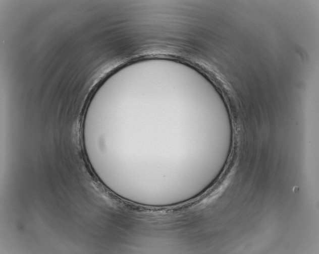 X0000111931121200907271025