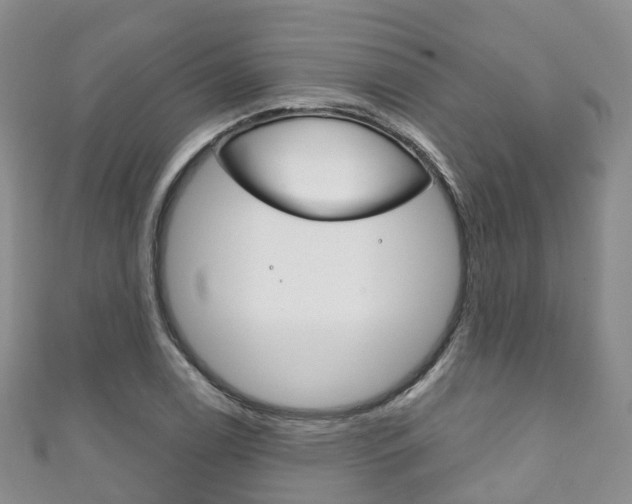 X0000111931122200907271025