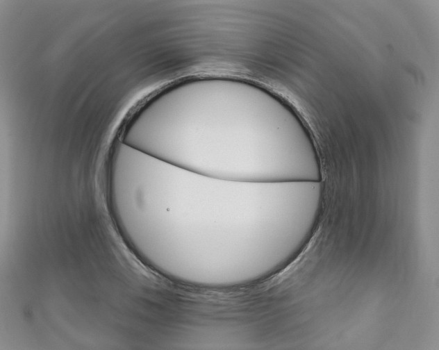 X0000111931123200907271025