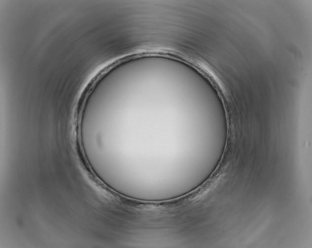 X0000111931124200907271025