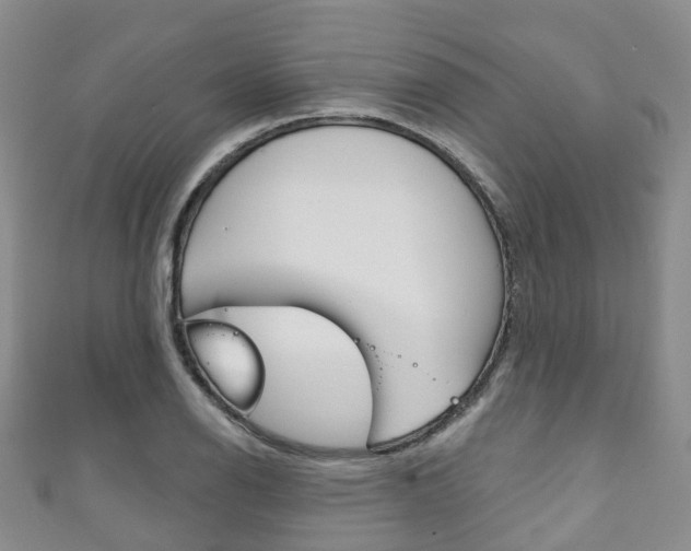X0000111931126200907271025