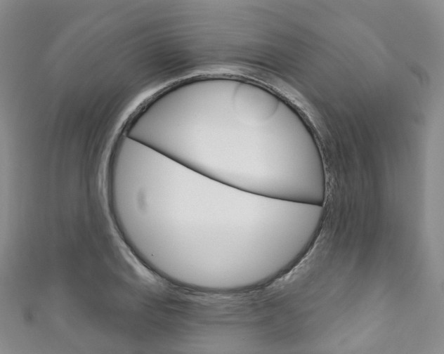 X0000111931127200907271025
