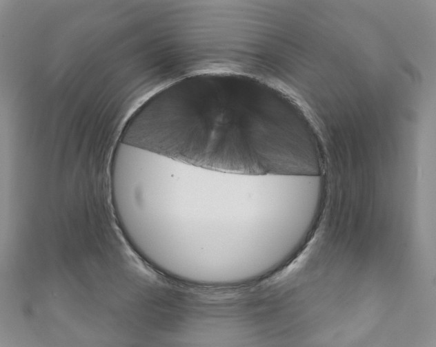 X0000111931129200907271025