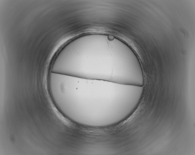 X0000111931131200907271025