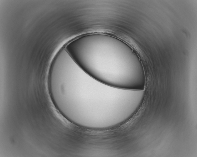 X0000111931132200907271025