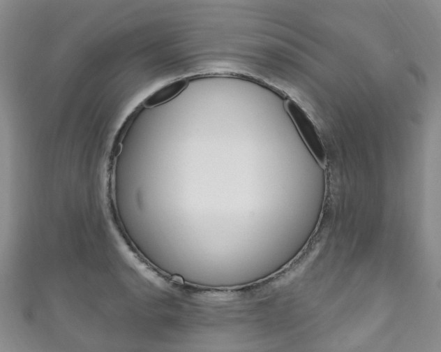 X0000111931134200907271025
