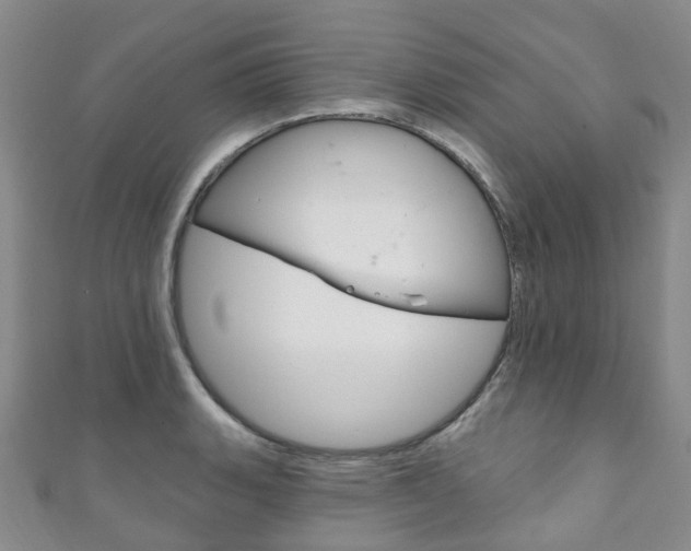 X0000111931135200907271025